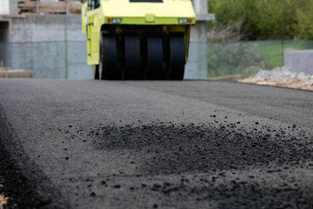 Best Driveway Paving Contractor  in Newberry, FL