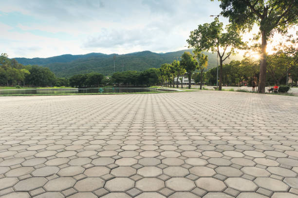 Best Residential Paver Driveway  in Newberry, FL